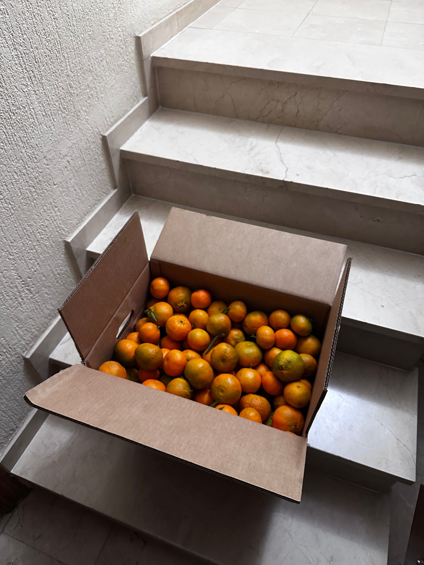 Mandarinas Valencianas