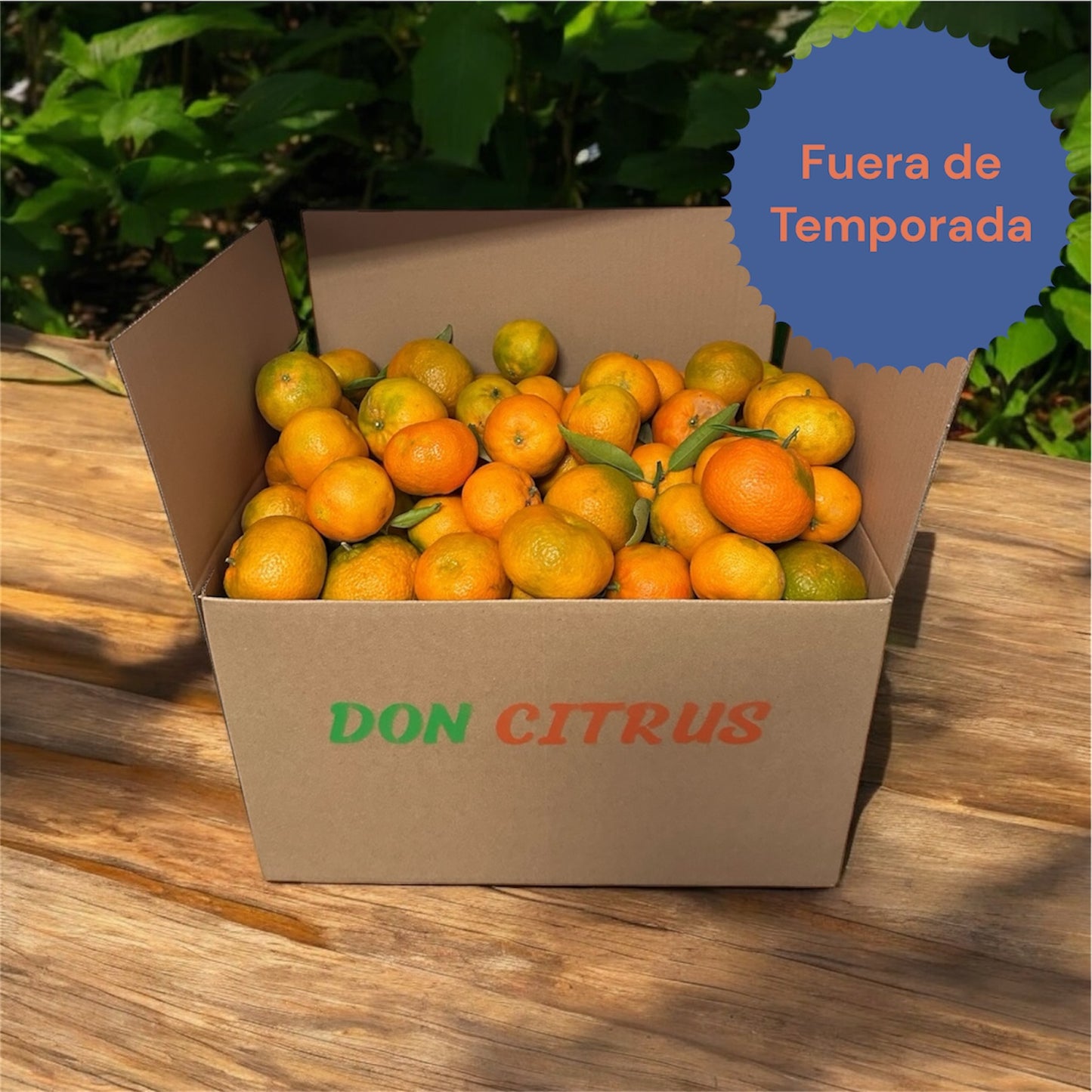 Mandarinas Valencianas