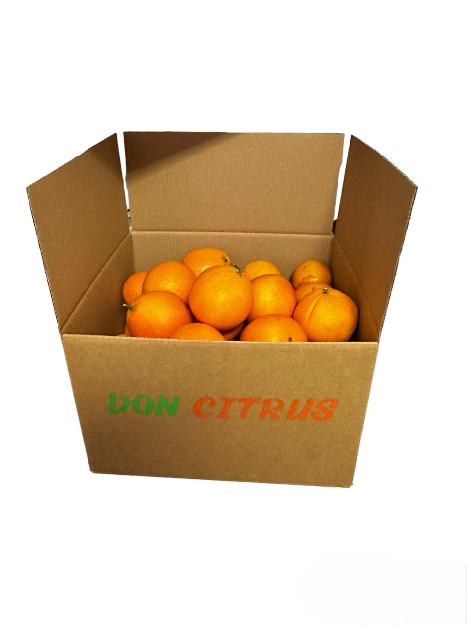Caja de Naranjas Valencianas