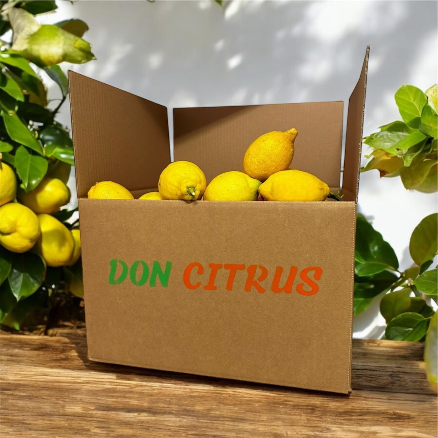 Limones Valencianos