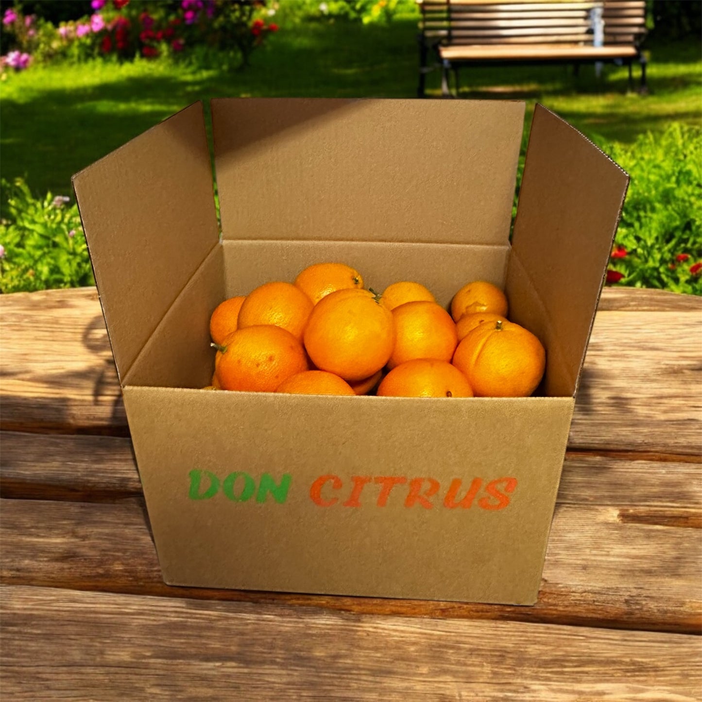Naranjas Valencianas