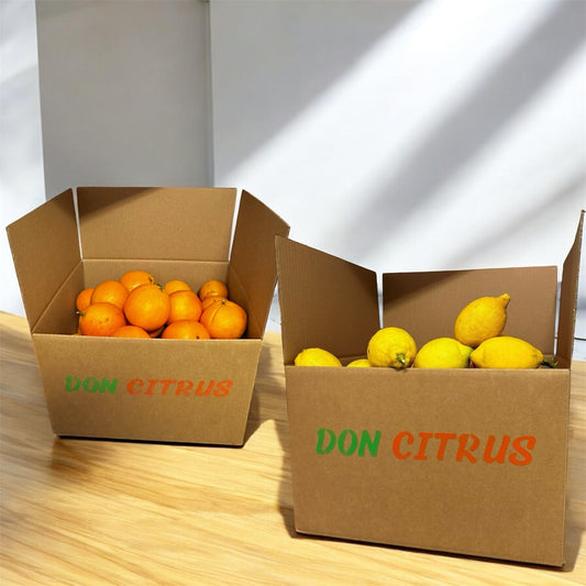 Caja Mixta Naranjas y Limones Valencianos